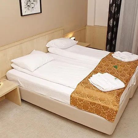 Hajducke Vode Hotel Jotanovici