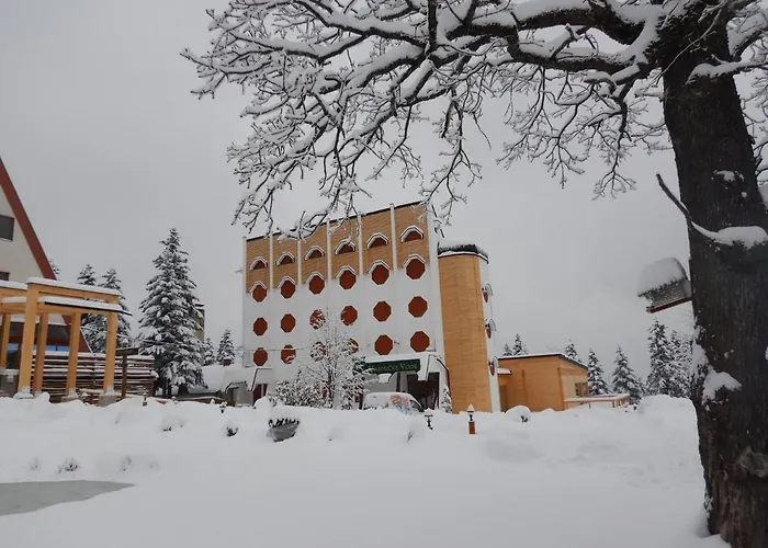 Hajducke Vode Hotel Jotanovici